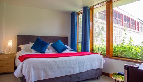 King Room with Spa Bath
