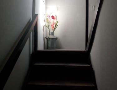 Apartment - Split Level