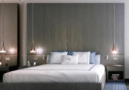 Luxury King Bed