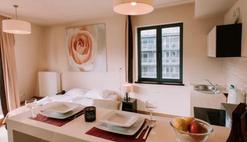 Studio Apartment with View
