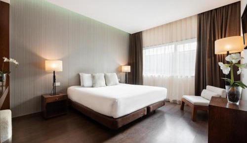 Junior Suite with Terrace