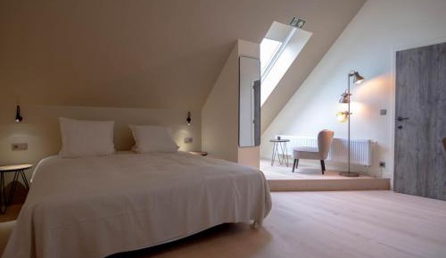 Large Double or Twin Room