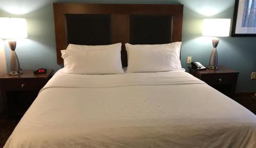 King Suite with Sofa Bed