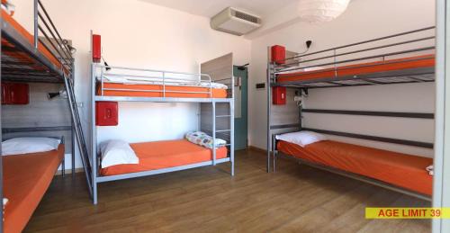 Bed in 6-Bed Mixed Dormitory Room