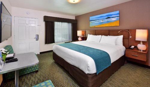 Petite King Room
