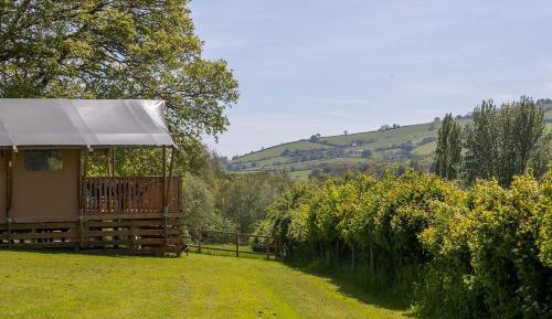 Oak Tent