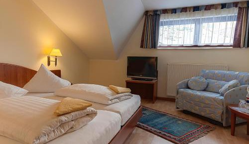 Double Room with Mountain View