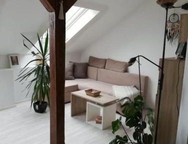 Apartment with Shower