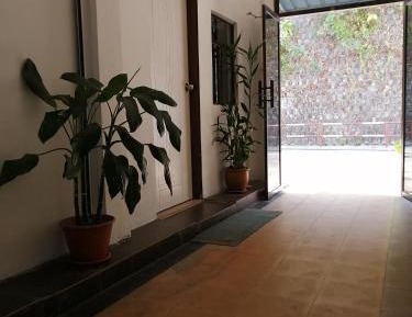 Budget Single Room