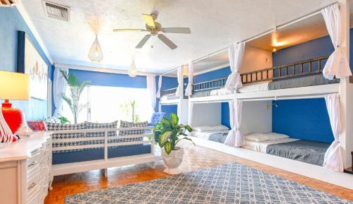 Bunk Bed in Mixed Dormitory Room