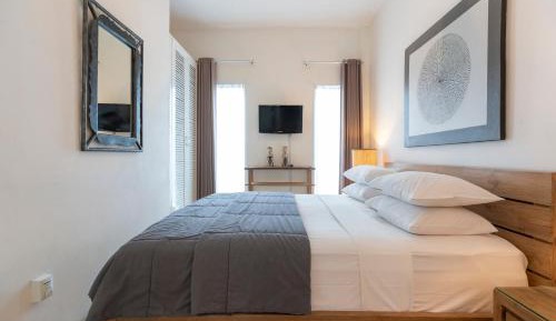 Deluxe Two Bedroom Apartment