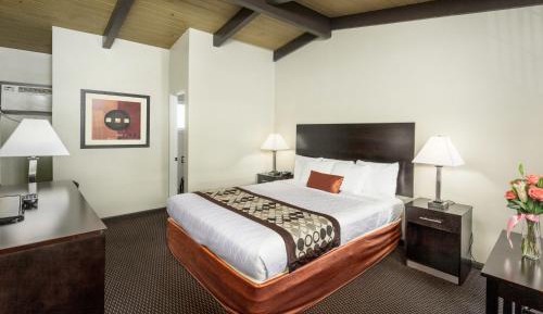 King Room - Non-Smoking
