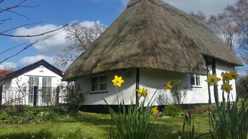 Deluxe Double Room with Shower