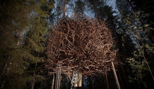 The Bird's Nest