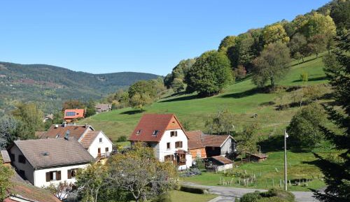 Two-Bedroom Apartment with Mountain View