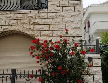 One-Bedroom Apartment with Terrace