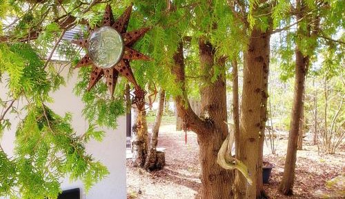 Buddha Bing Forest Cabin #1 With Full Sized Private External Bathroom