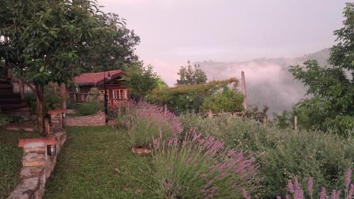 King Room with Garden View