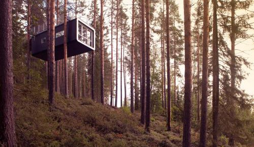 The Cabin