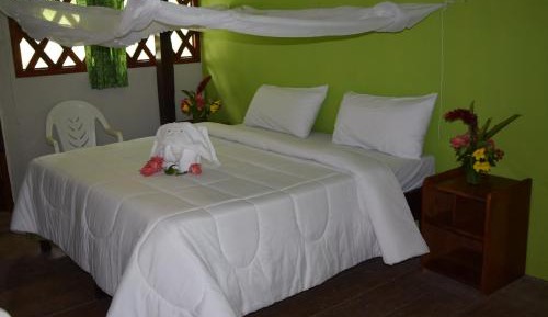 Standard Single Room with Mountain View
