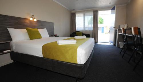 Pet Friendly Standard Queen Room