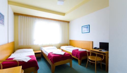 Basic Triple Room