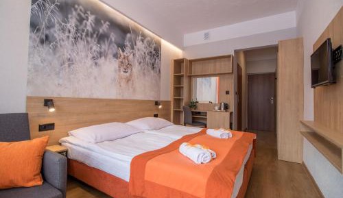 Triple Room with Mountain View