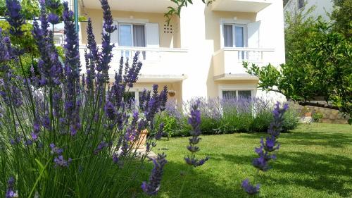 Apartment with Garden View