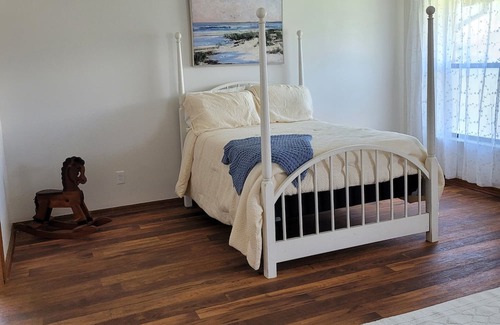 Palm Harbor House | Release and Relax swimming pool or fishing right out your back door