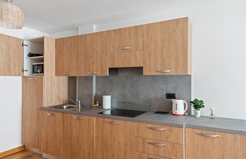 Bieltschocke Apartment | Residence in Gressoney-saint-jean with 1 bedrooms sleeps 4