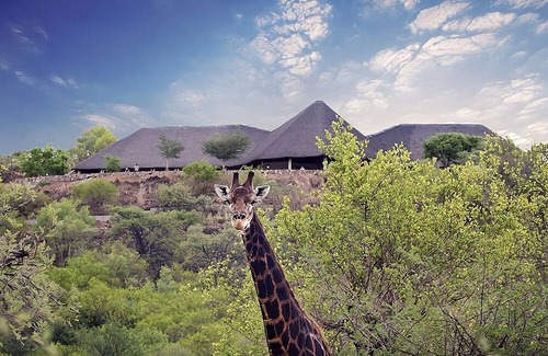 Gaborone House | Stay Close to Mokolodi Nature Reserve! Free Shuttle & Parking, Pool and Spa!