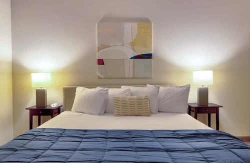Central West End Apartment | St. Louis | Gorgeous 2BD/2BA Central West End Apartment