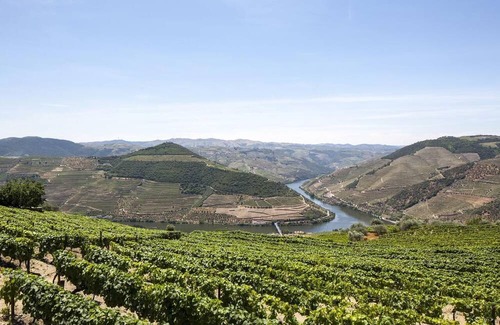 Bomfim House | Typical House in the heart of the Douro