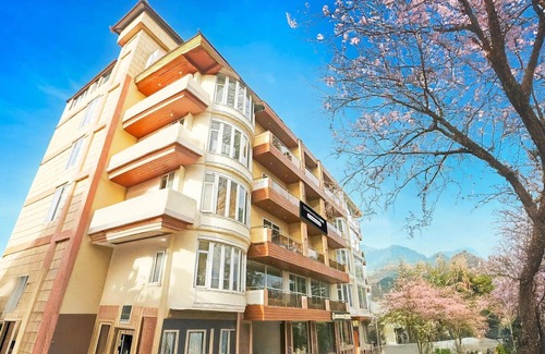 Dharamshala House | Stylish Room With Mesmerizing View Dharamshala