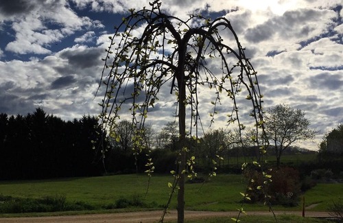 Berbiguieres House | Domaine des Mauves