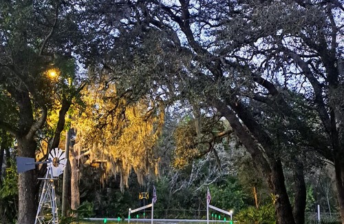 Jasmine Estates Apartment | Bohemian Suite. Get the Best of Both Worlds. Rest and Relax surrounded of nature