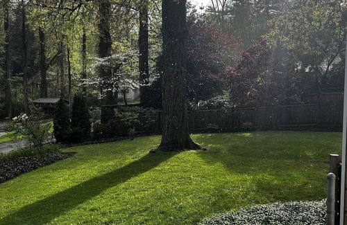 Laurel Park House | Century Home in Laurel Park. Walk to Ecusta Trail, Coffee Shop & Waterfalls