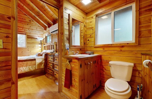 Marmot Cabin | Secluded cabin with pond views, streaming, W/D, & partial AC - dog-friendly