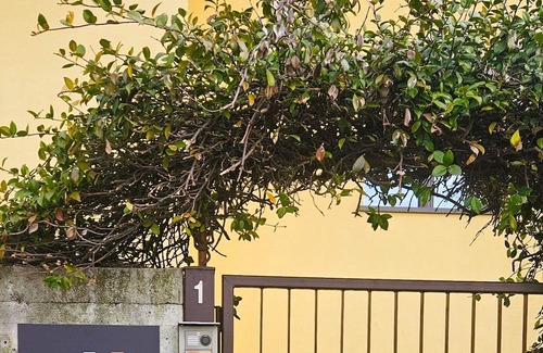 Bergamo Apartment | Vrbo Property