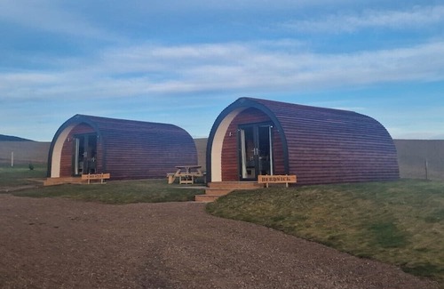 Eyemouth Cabin | Cheviot -luxury pods with Private hot tubs - BBQ -750m to Beach- family friendly
