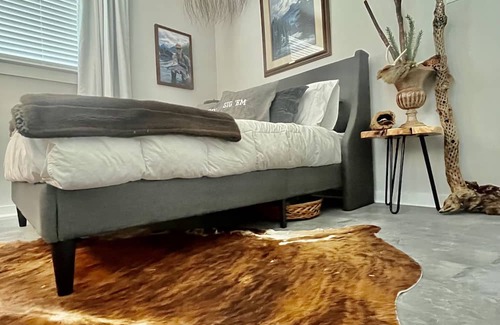 Wellborn House | College Station Midtown Cat House ~ 4 Bedroom