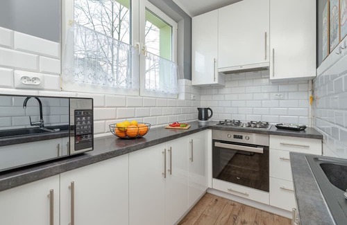 Brzezno Apartment | Apartment With Balcony by Renters