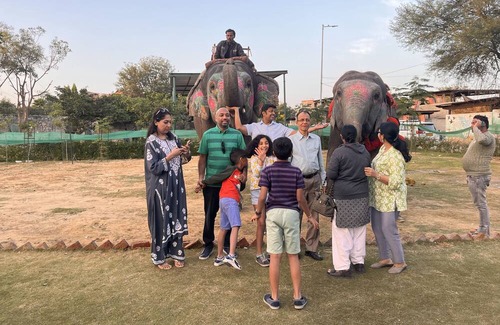Pink City House | Room 1 - You can spend time with elephants by going close them