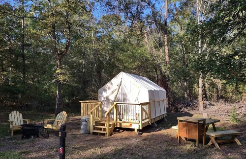 West Livingston RV Rental | Tentrr State Park Site - TX Lake Livingston State Park - Site D - Single Camp