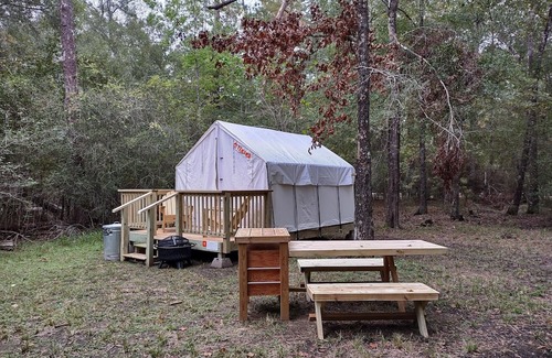 West Livingston RV Rental | Tentrr State Park Site - TX Lake Livingston State Park - Site C - Single Camp