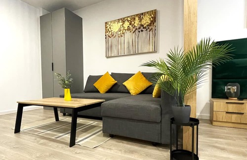 Sinaia Apartment | Green Charm Studio with private parking