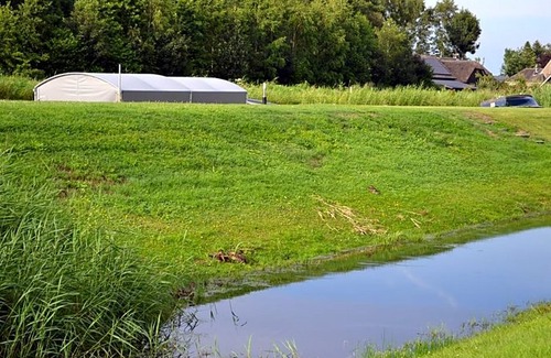 Zuideinde Bed & Breakfast | B&B Giethoorn