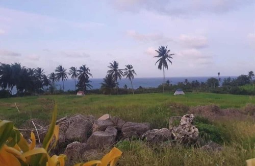 Newcastle RV Rental | Camping Barbados #1 Bring Your Own Tent