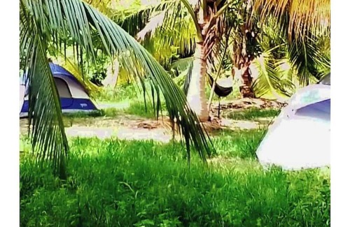 Newcastle RV Rental | Camping Barbados - Activity Stay