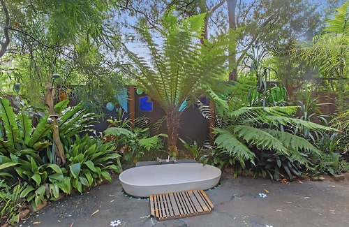 Skenes Creek House | Peaceful, creative home in a lush bush setting, only 300m from the beach!